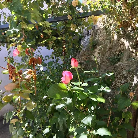 Casa Lisetta Appartamento Villa D'agri