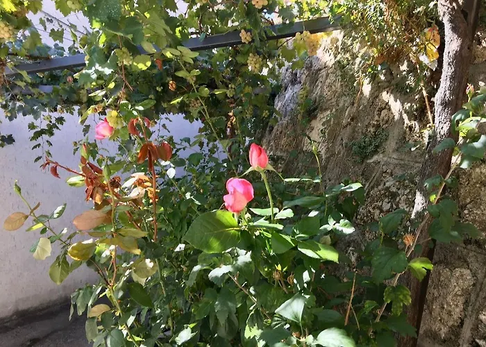 Casa Lisetta Appartamento Villa D'agri